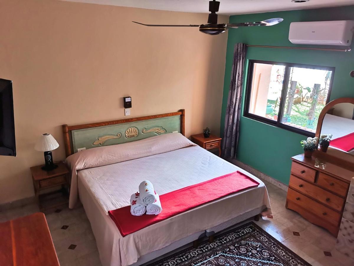 Hotel Casa Pellegrin Mérida Kültér fotó