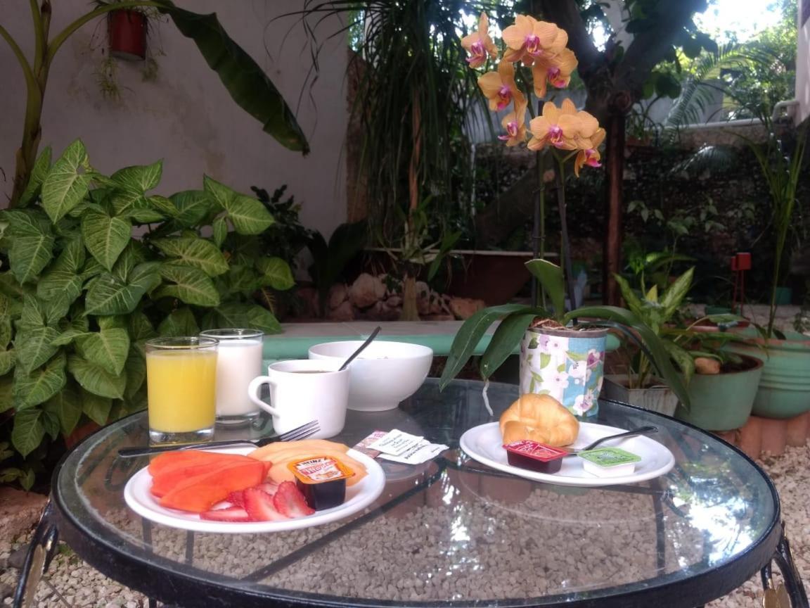 Hotel Casa Pellegrin Mérida Kültér fotó